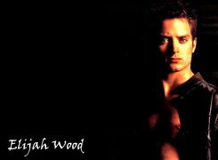 Elijah Wood,atłasowa koszula