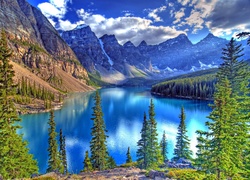 Kanada, Park Narodowy Banff, Góry, Jezioro Moraine Lake, Las