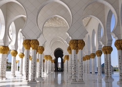 Meczet, Zjednoczone Emiraty Arabskie, Abu Dhabi