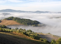 Góry, Jezioro, Lasy, Mgły