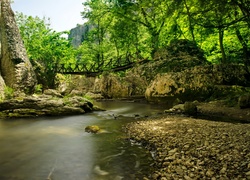 Bułgaria, Rzeka, Drzewa, Kamienie