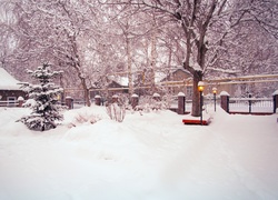 Zima, Śnieg, Domy, Drzewa