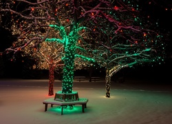 Oświetlone, Drzewa, Zima, Śnieg, Park