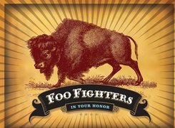 Foo Fighters,baran