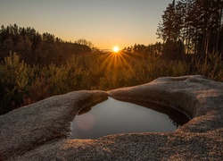 Czechy, Wschód słońca, Las