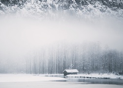 Zima, Śnieg, Mgła, Las, Jezioro