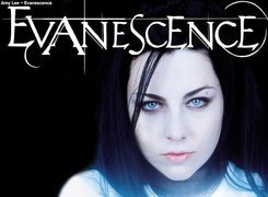 Amy Lee, Evanescence, Usta