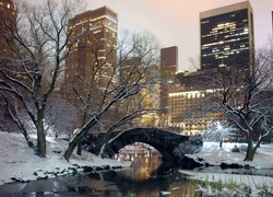 Park, Nowy Jork, USA, Zima