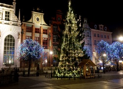 Polska, Gdańsk, Noc, Choinka, Świąteczne, Drzewa