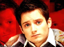 Elijah Wood, Twarz