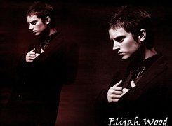 Elijah Wood, twarz