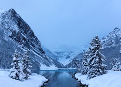 Kanada, Prowincja Alberta, Park Narodowy Banff, Góry, Jezioro Lake Louise, Zima, Świerki