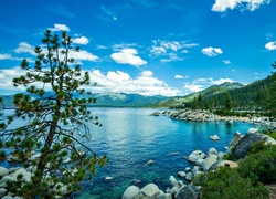 Góry, Las, Kamienie, Jezioro, Tahoe, Sierra Nevada