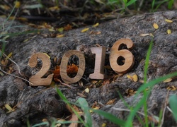 Rok, 2016, Klocki, Skała