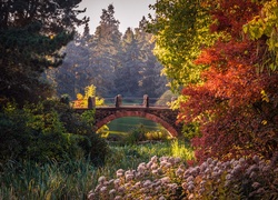 Berlin, Ogród Botaniczny, Most