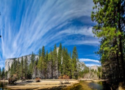 Stany Zjednoczone, Stan Kalifornia, Park Narodowy Yosemite, Drzewa, Niebo, Góry
