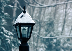 Lampa, Śnieg