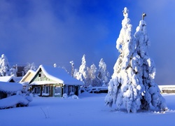 Zima, Śnieg, Zabudowania, Drzewa, Ośnieżone, Niebo