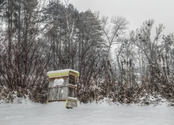 Zima, Park Sołacki, Poznań, Domek, Dla Owadów Zapylających