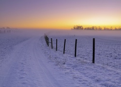 Pole, Śnieg, Droga, Ogrodzenie, Wschód słońca