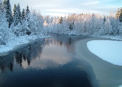 Drzewa, Śnieg, Rzeka