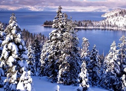 Zima, Śnieg, Las, Jezioro