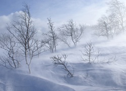 Zima, Wzgórze, Śnieżna, Zadymka