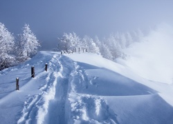 Pole, Drzewa, Śnieg, Ogrodzenie