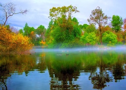 Park, Staw, Drzewa, Wschód Słońca