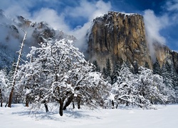 Stany Zjednoczone, Stan Kalifornia, Park Narodowy Yosemite, Szczyt El Capitan