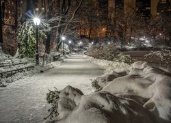 Central Park, Nowy Jork, Zima, USA