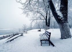 Park, Ławka, Jezioro