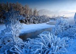 Zima, Rzeka, Las, Mostek