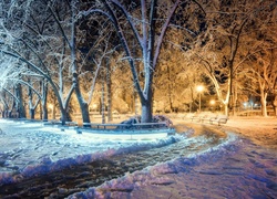 Park, Drzewa, Alejki, Latarnie, Zima