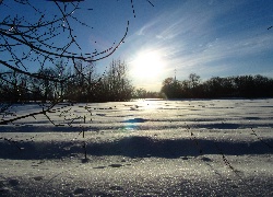 Pole, Śnieg, Drzewa, Słońce