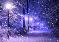 Zima, Park, Noc, Latarnie, Śnieg