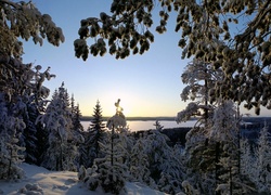 Zima, Drzewa, Śnieg, Jezioro
