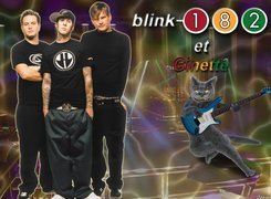 Blink 182,Ginette ,kot