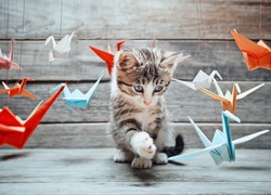 Kotek, Zabawa, Origami
