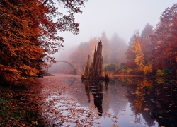 Jesień, Rzeka, Most, Las, Mgła