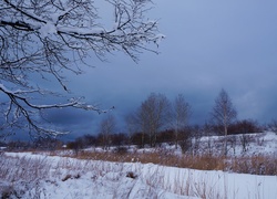 Zima, Drzewa, Gałęzie, Śnieg, Ciemnie, Chmury