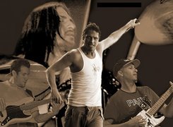 Audioslave,zespół ,gitara