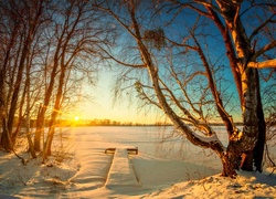 Zima, Jezioro, Promienie Słońca, Pomost, Drzewa