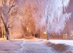 Zima, Ścieżka, Park