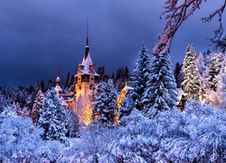 Zima, Las, Pałac Peles, Rumunia