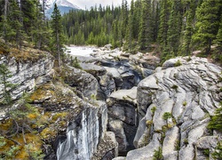 Kanada, Prowincja Alberta, Park Narodowy Banff, Góry, Las, Mistaya Canyon, Rzeka