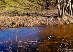 Strumyk, Gałęzie, Drzewa, Wzgórze