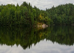 Jezioro, Las