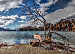 Góry, Alpy, Szwajcaria, Jezioro, Drzewo, Ławka, HDR