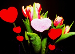 Walentynki, Kwiaty, Tulipany, Serduszka